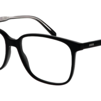 DIOR InDiorO S21 1000